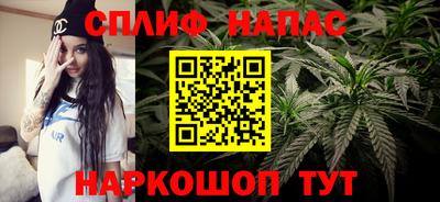 a pvp Владимир