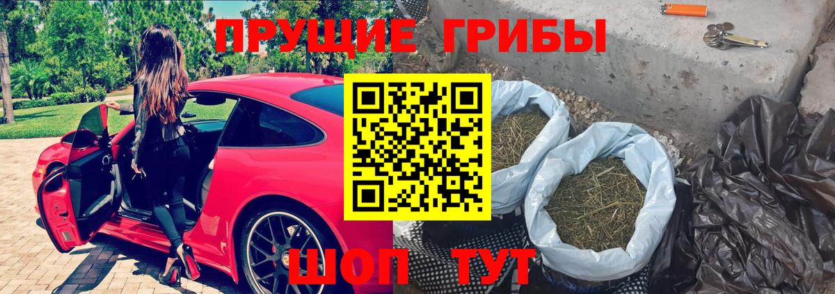 Чита  Галлюциногенные грибы MAGIC MUSHROOMS  Вход с VPN 